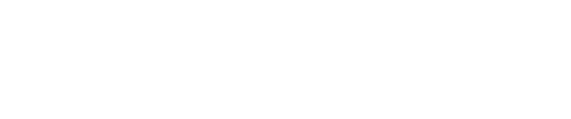 Mikro+Polo